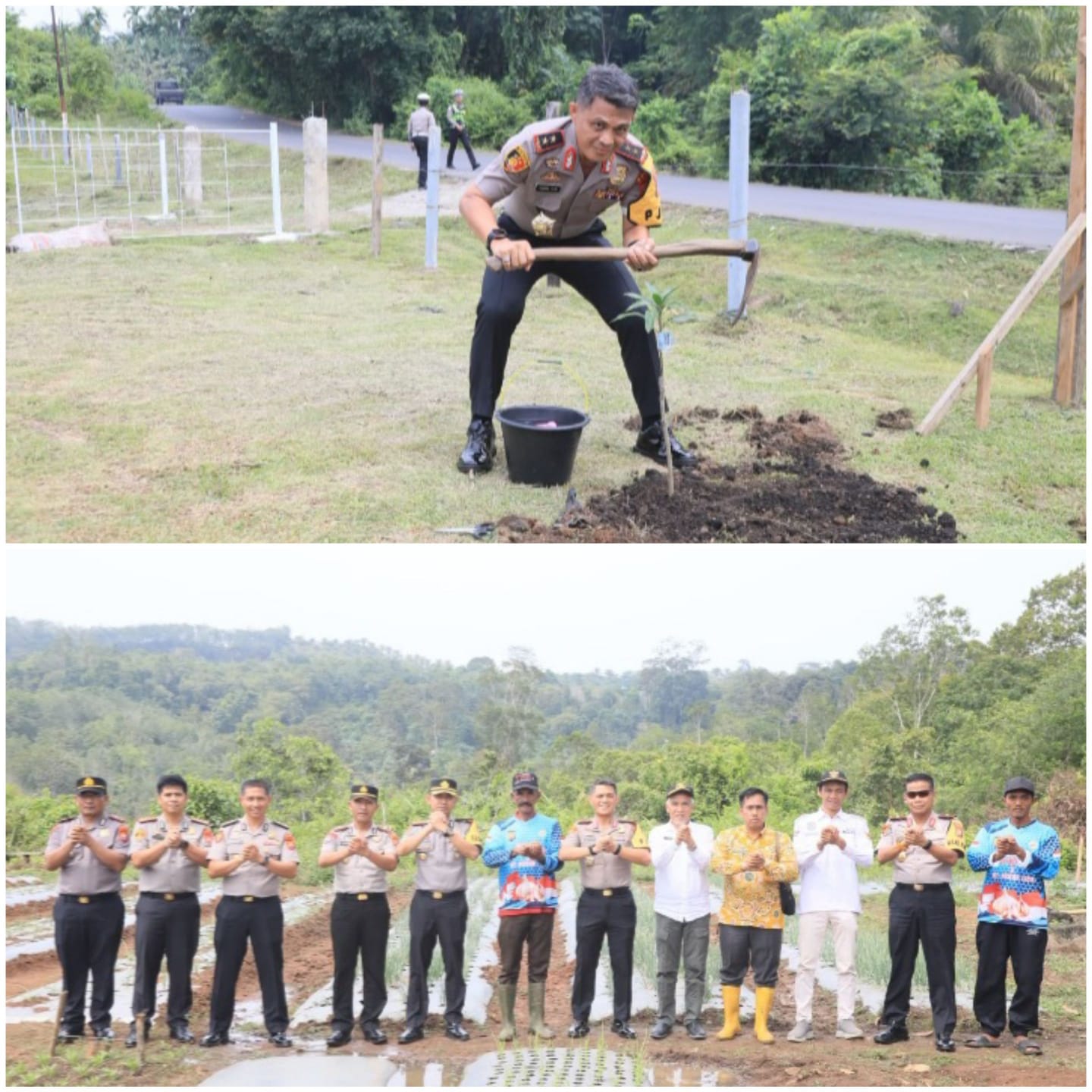 Perkuat Green Policing dan Swasembada Pangan, Kapolda Bengkulu Tinjau Demplot Bawang Putih dan Tanam Pohon di Bengkulu Tengah